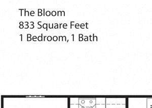 The Bloom